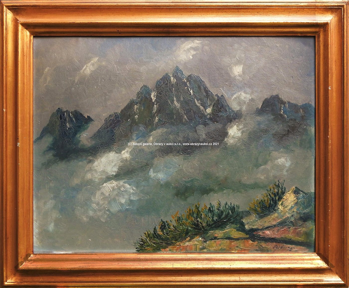 Karol Polónyi - V horách