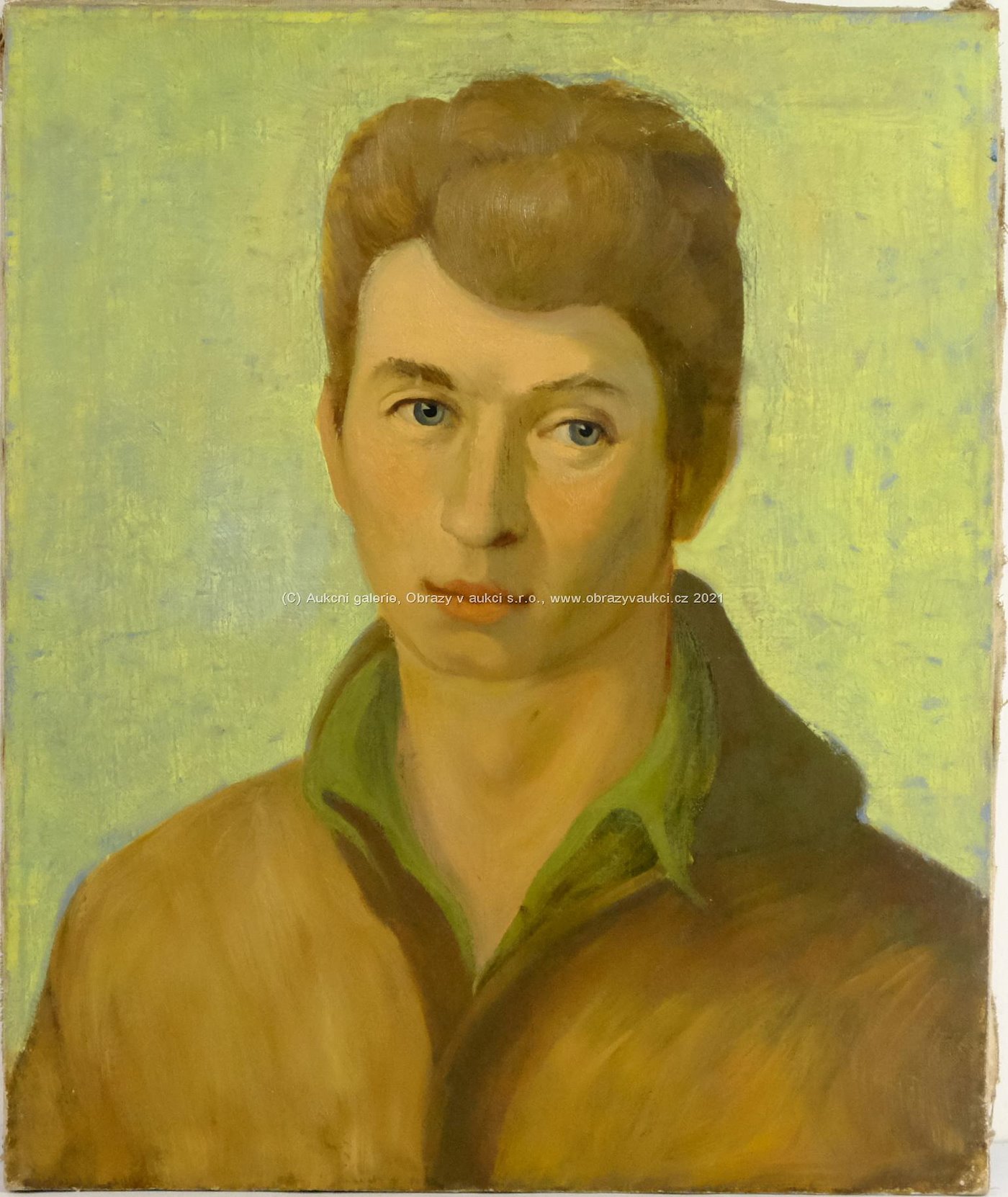 Jan Havlík - Portrét mladého muže