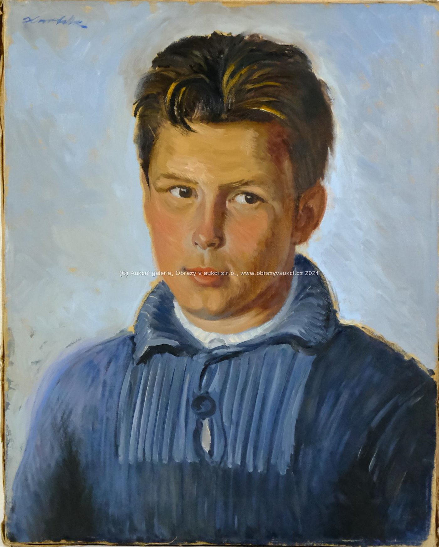 Jan Havlík - Portrét chlapce