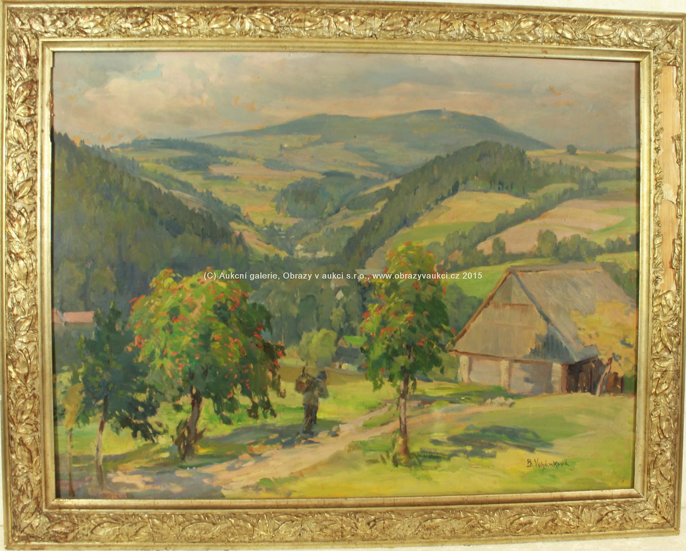 Božena Vohánková - V horské vesnici