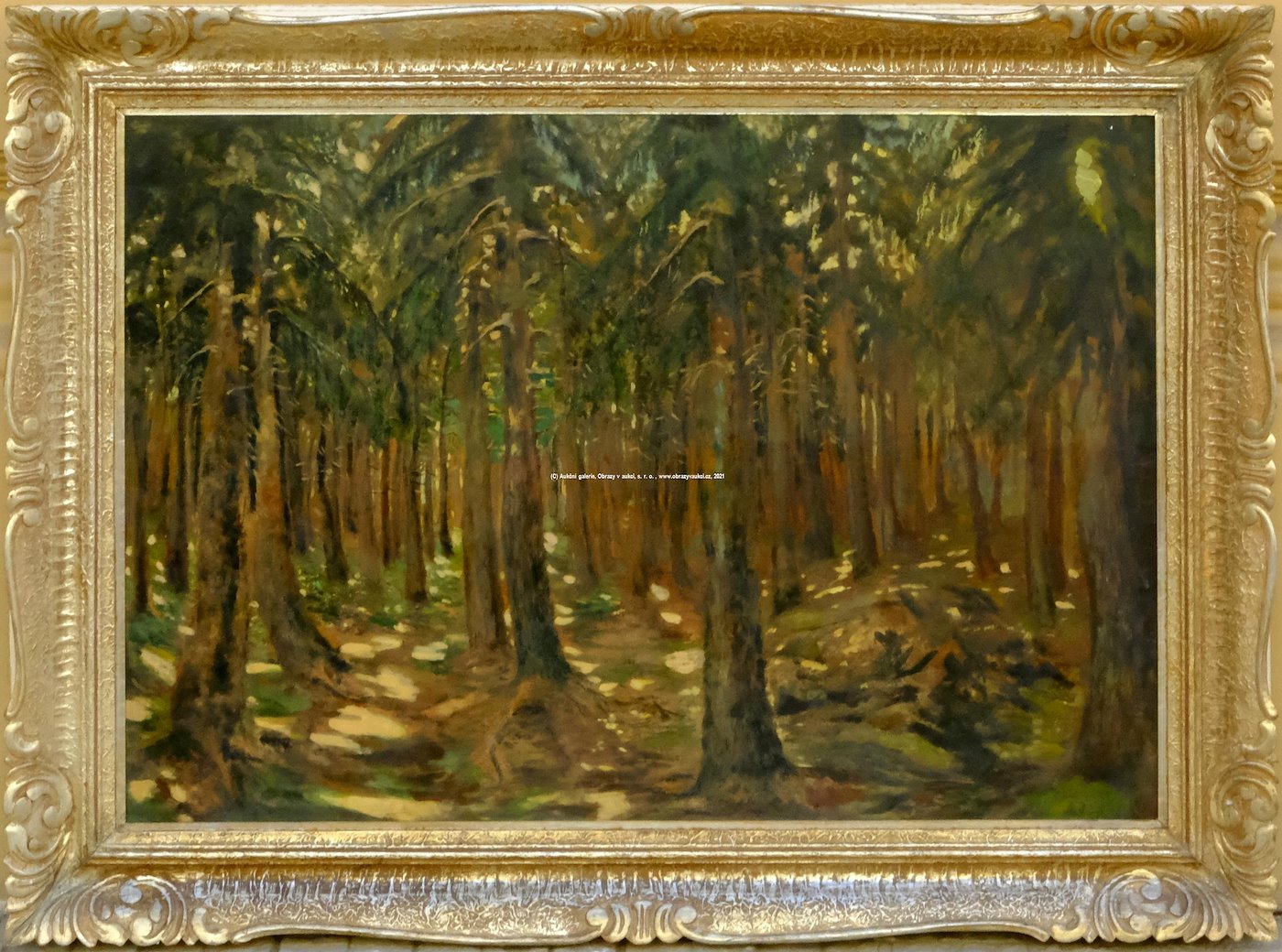 Antonín Hudeček - V hlubokém lese