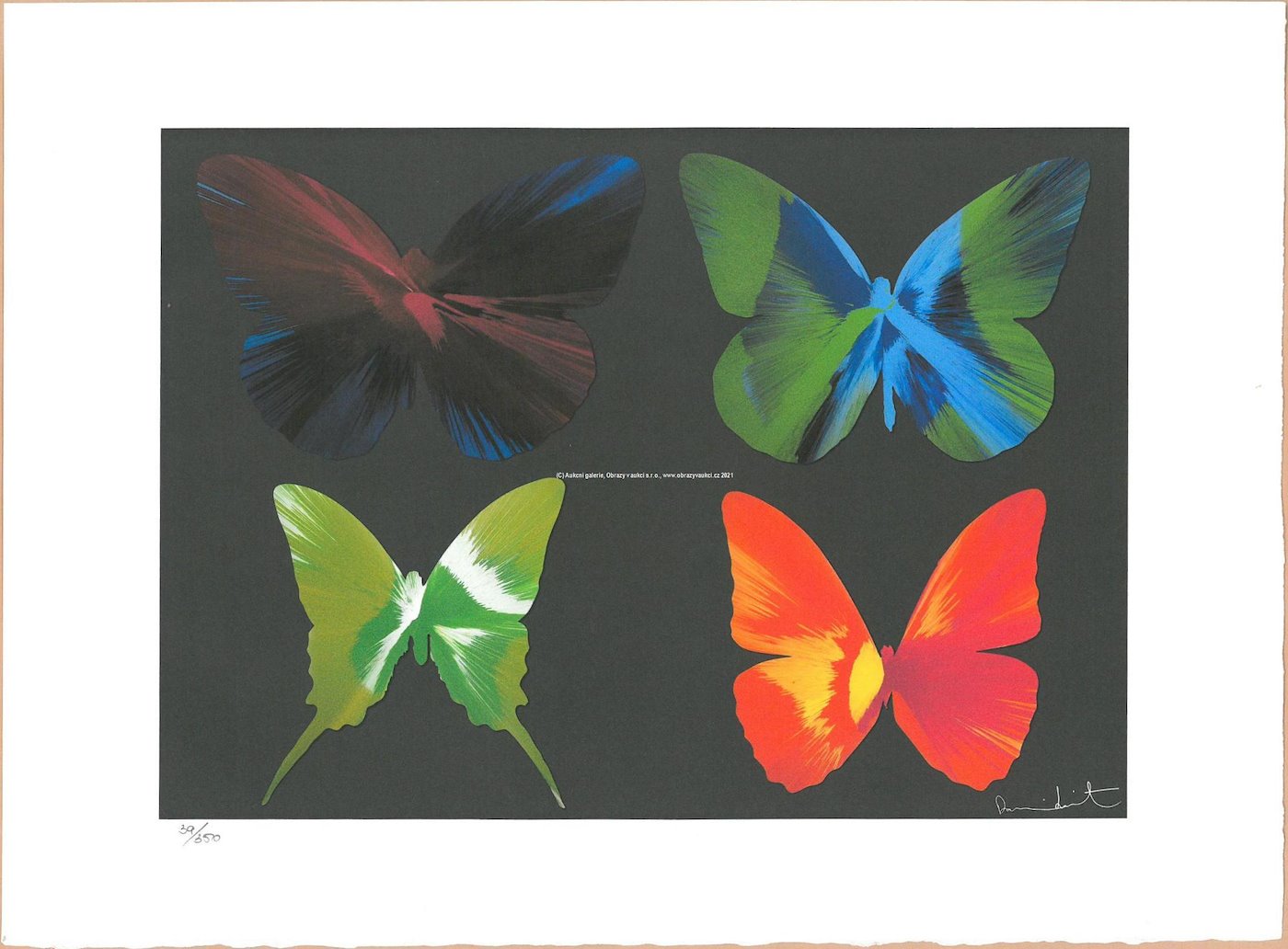 Damien Hirst - Beautiful Butterflies