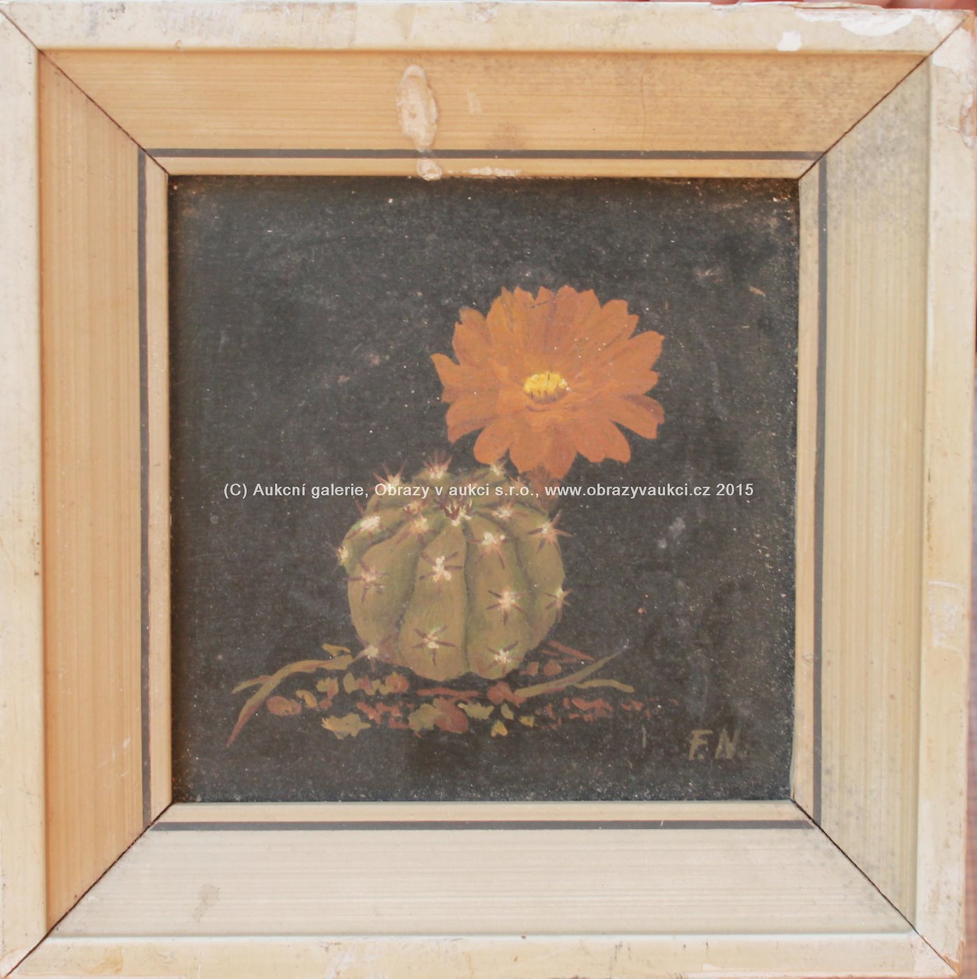 František Xaver Naske - Kvetoucí kaktus