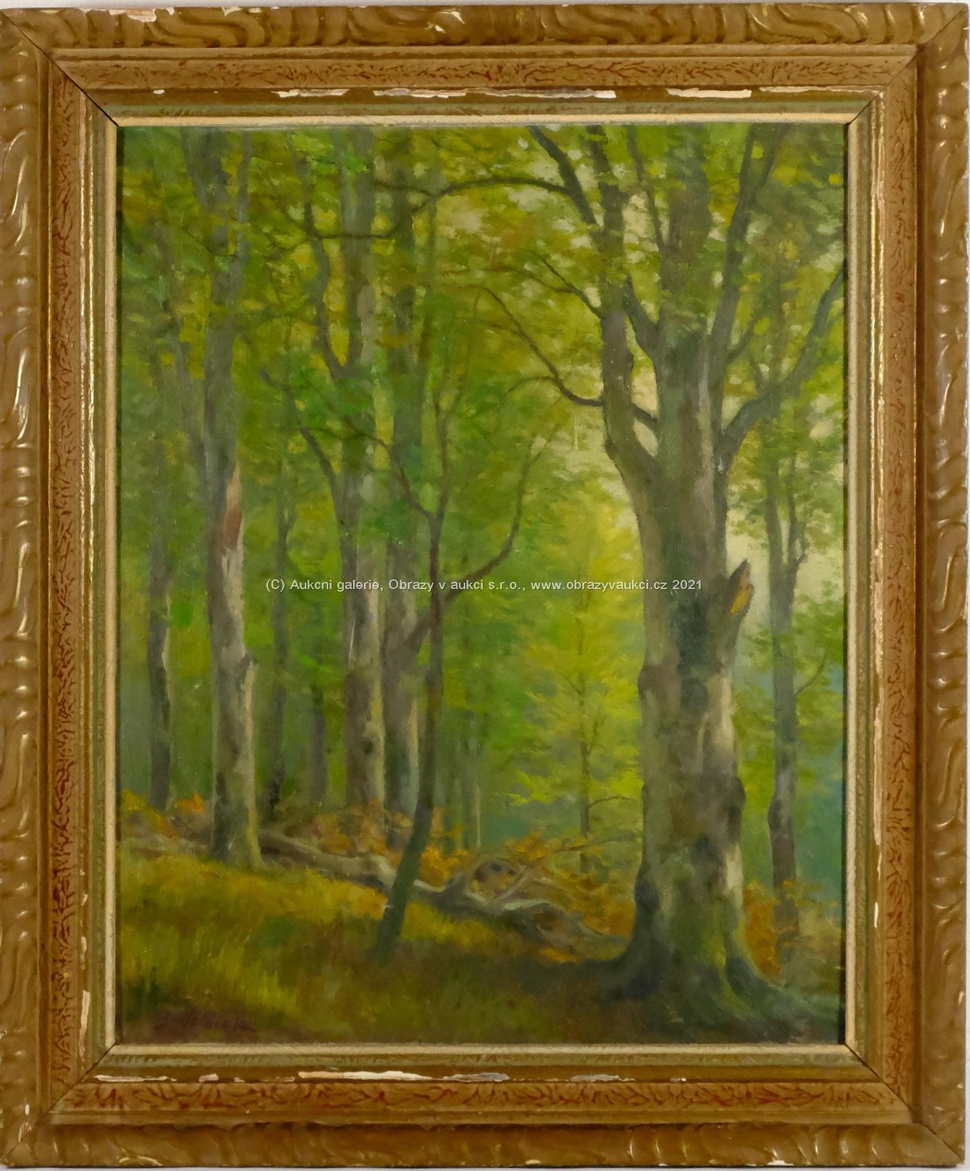 Bedřich Holáček - Stromy v lese - Hukvaldy