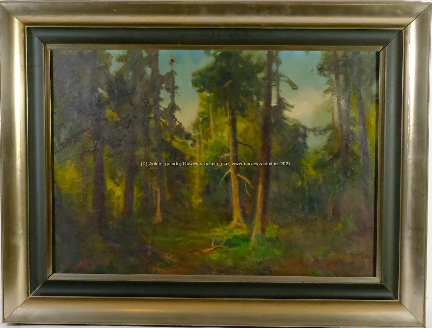Arkadi Solovjev - Lesní říše