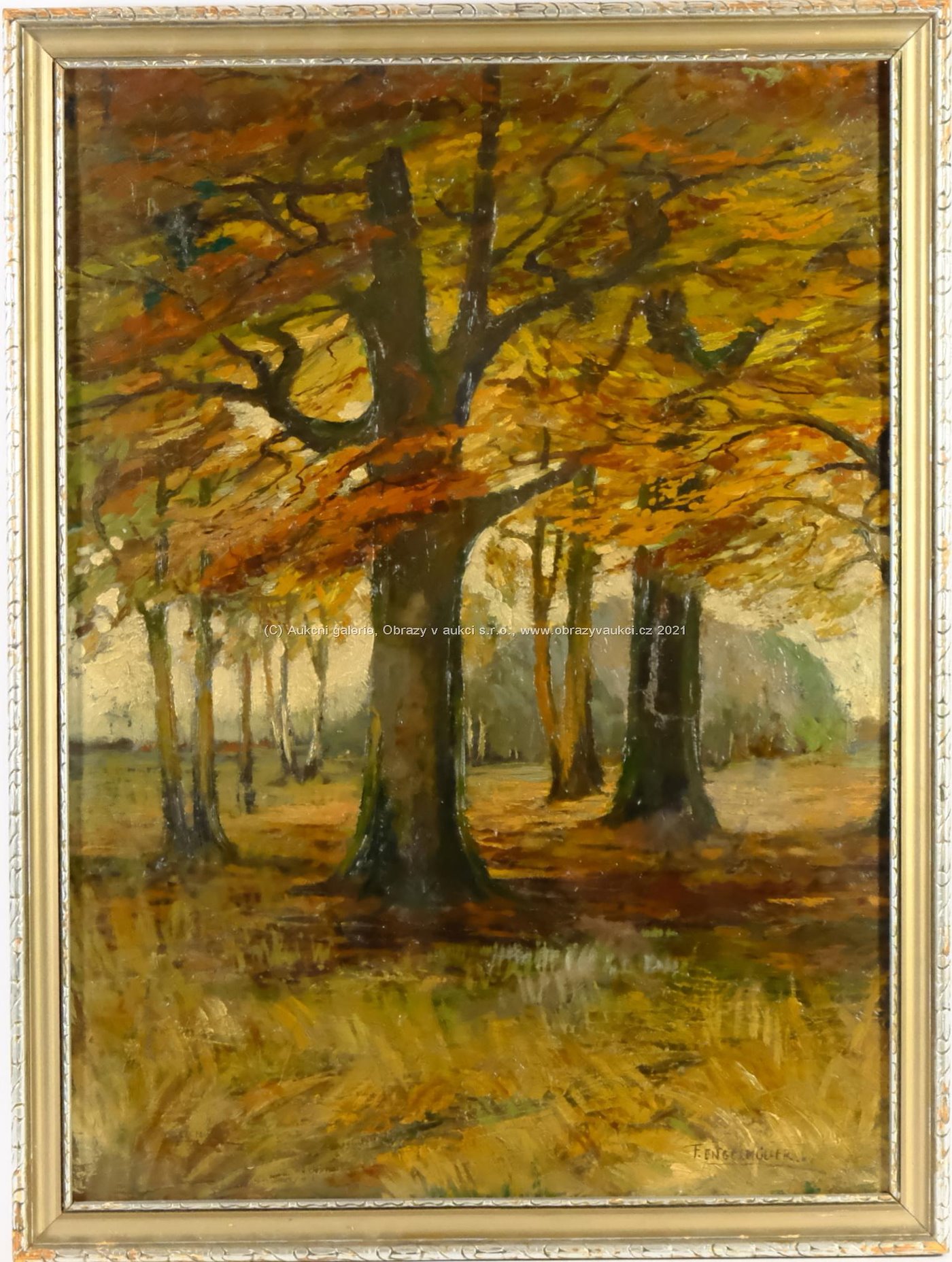 Ferdinand Engelmüller - Vzrostlé stromy