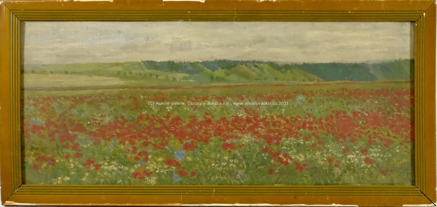 český malíř první poloviny 20. století - Makové pole