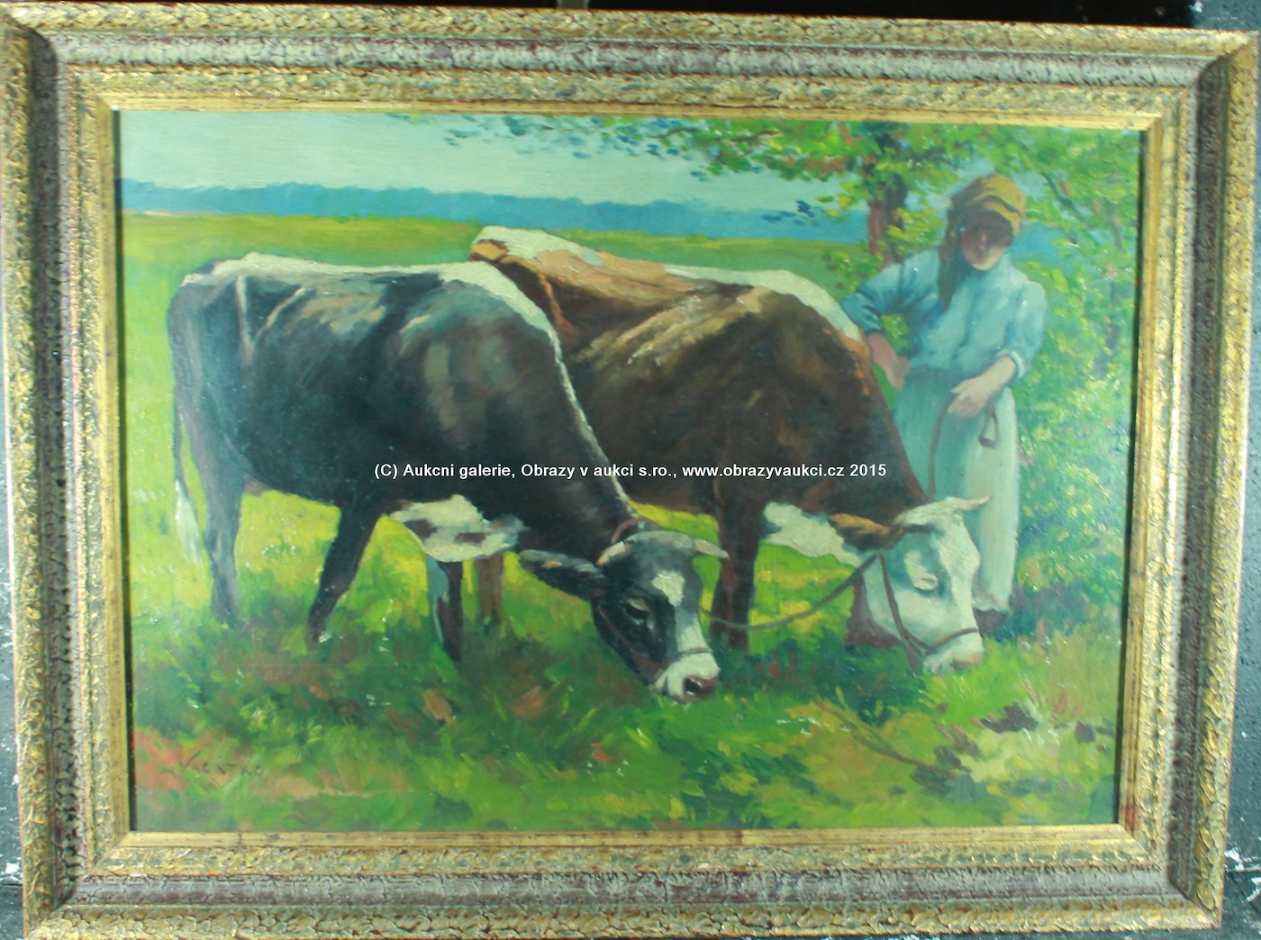 Ludvík Vacátko - S kravami na pastvě
