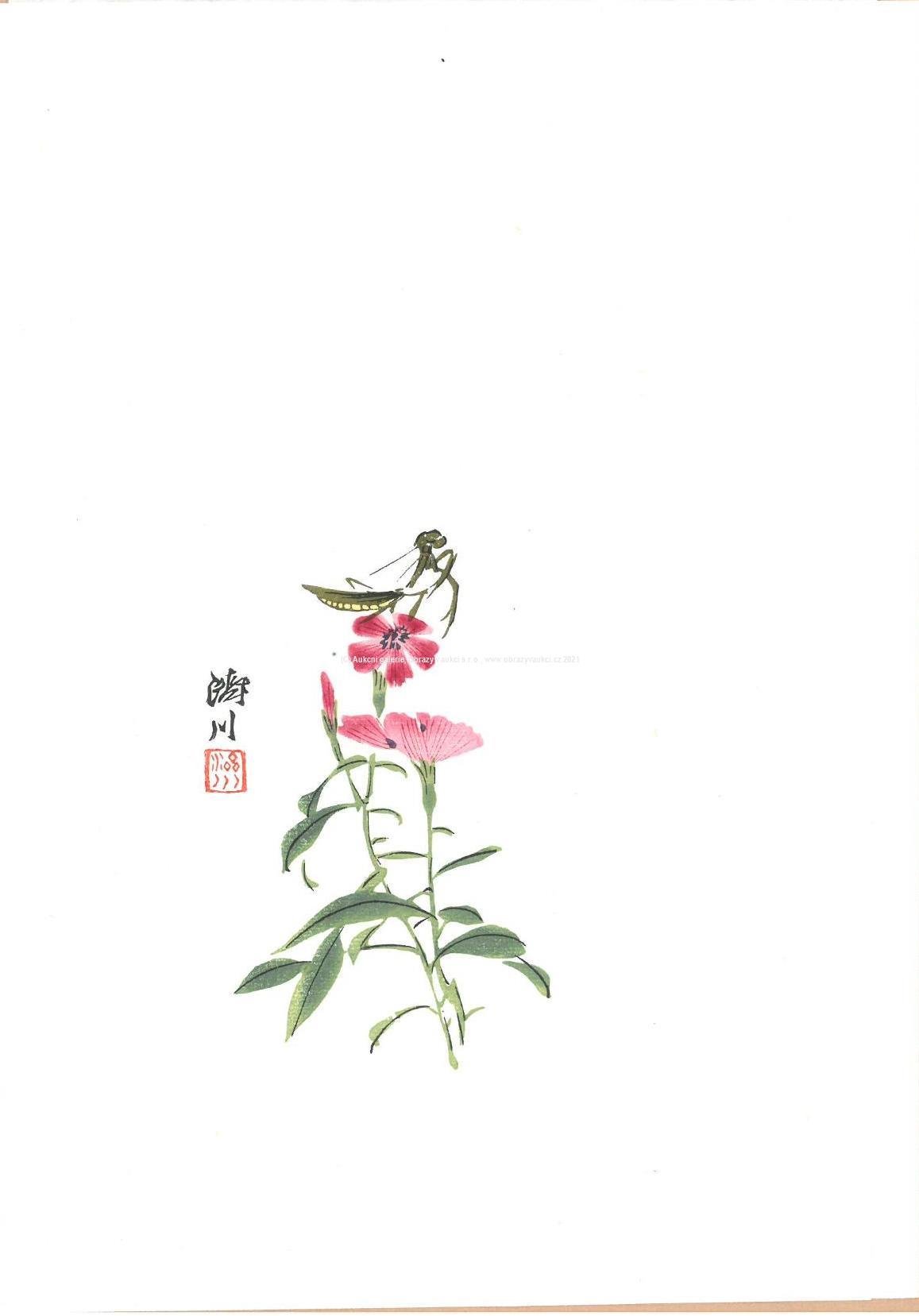 Bai-shi Qi (Čchi Paj-š´) - Hvozdík čínský