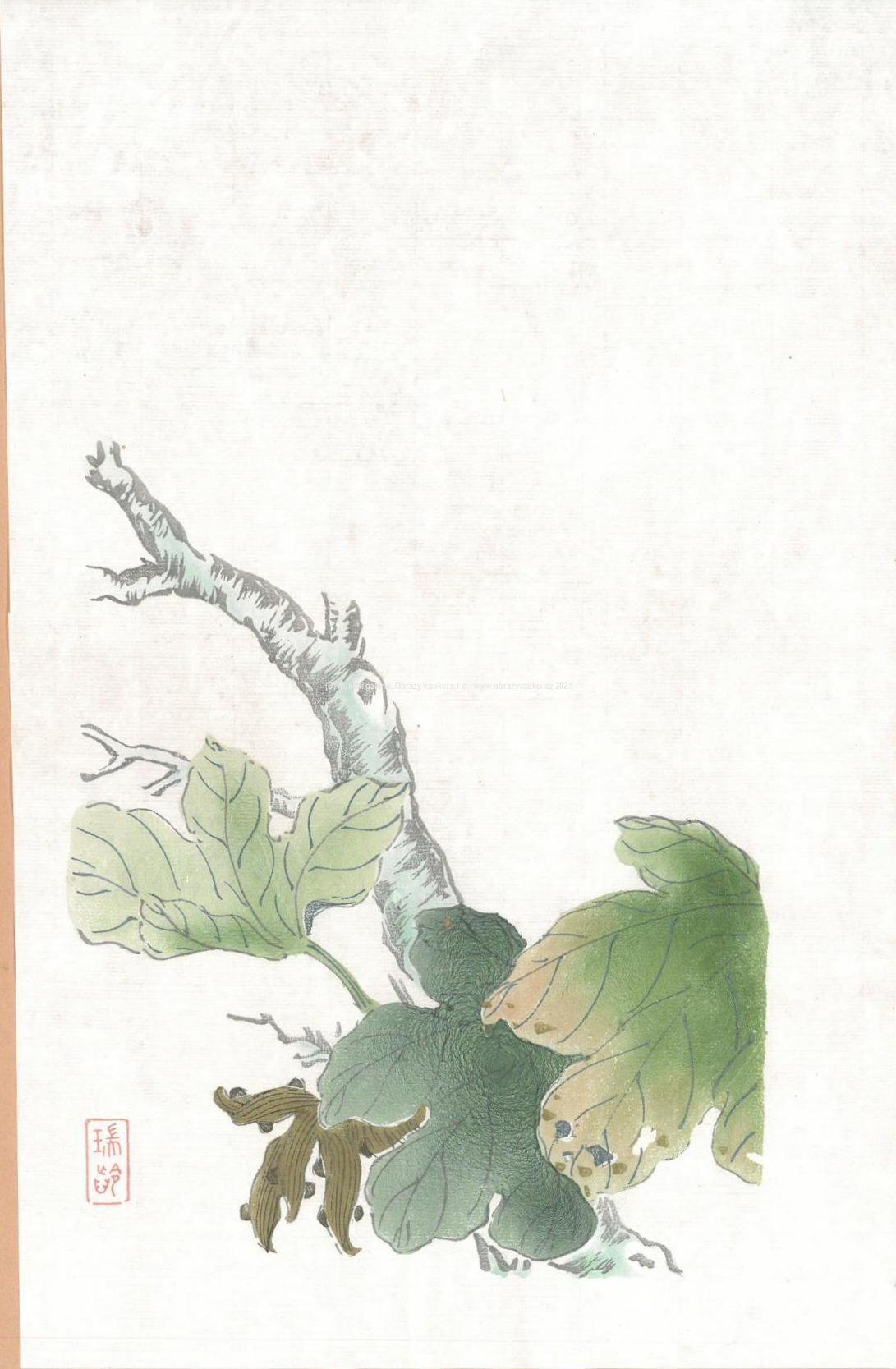Bai-shi Qi (Čchi Paj-š´) - Větev se zelenými listy