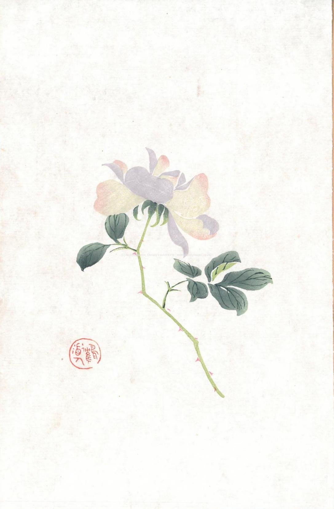 Bai-shi Qi (Čchi Paj-š´) - Růže šípková