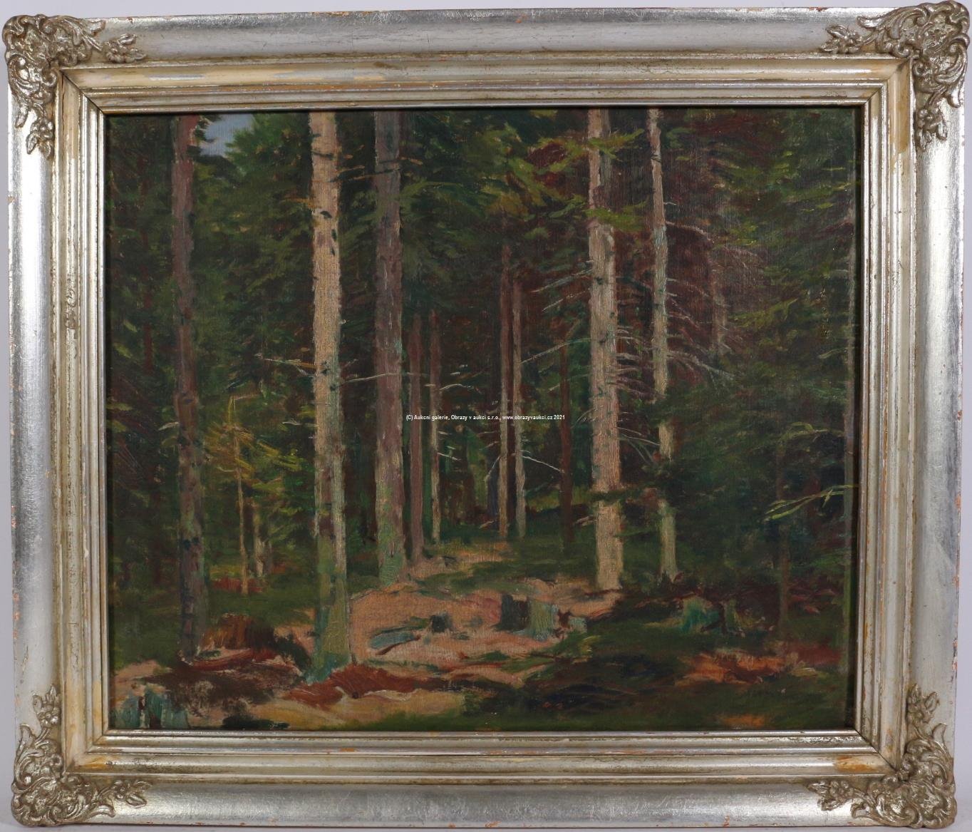 Václav Knotek - Juhas - Jehličnatý les