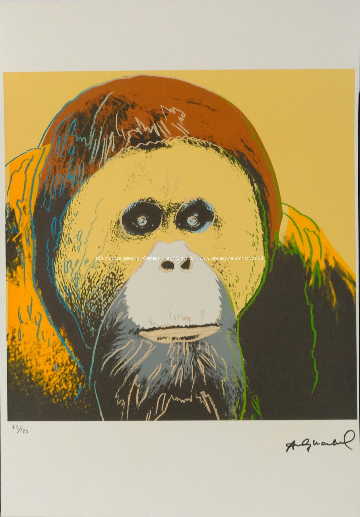 Andy Warhol - Orangutan
