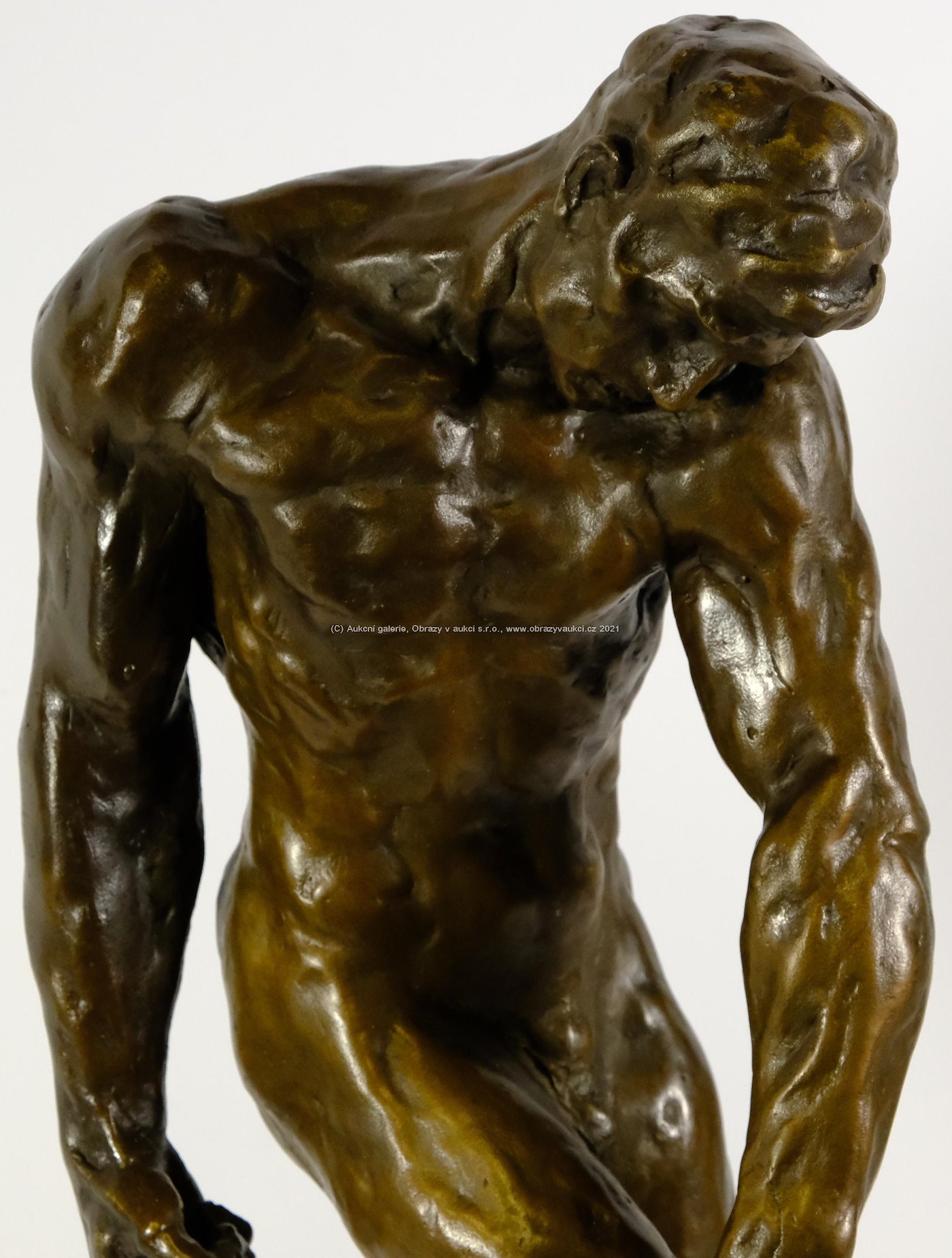 Auguste Rodin - Akt muže