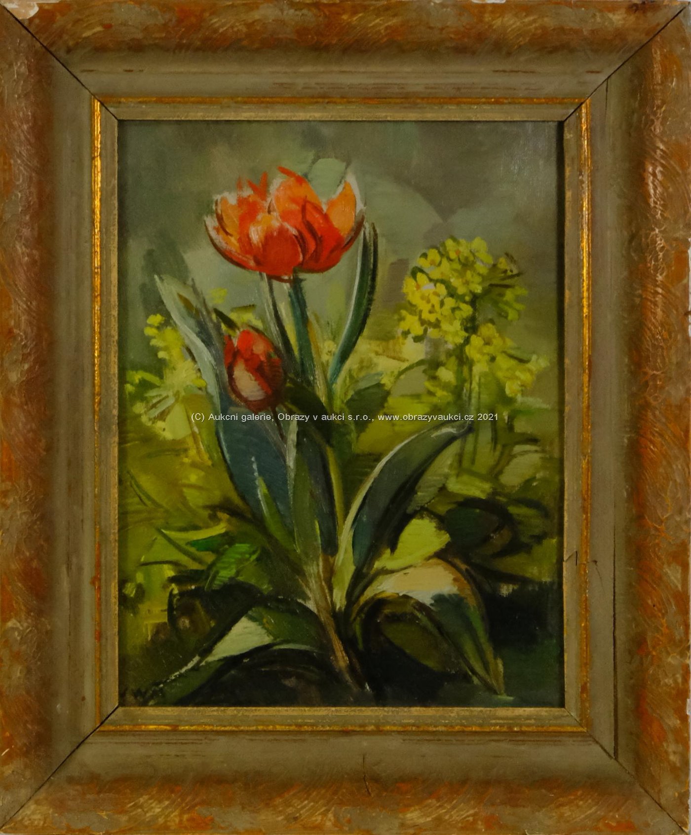 Julie Mezerová-Winterová - Rozkvetlý tulipán