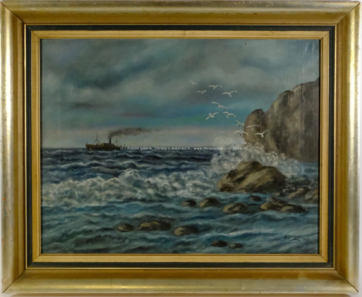 M. Dreyer - Racci nad mořskými skalisky