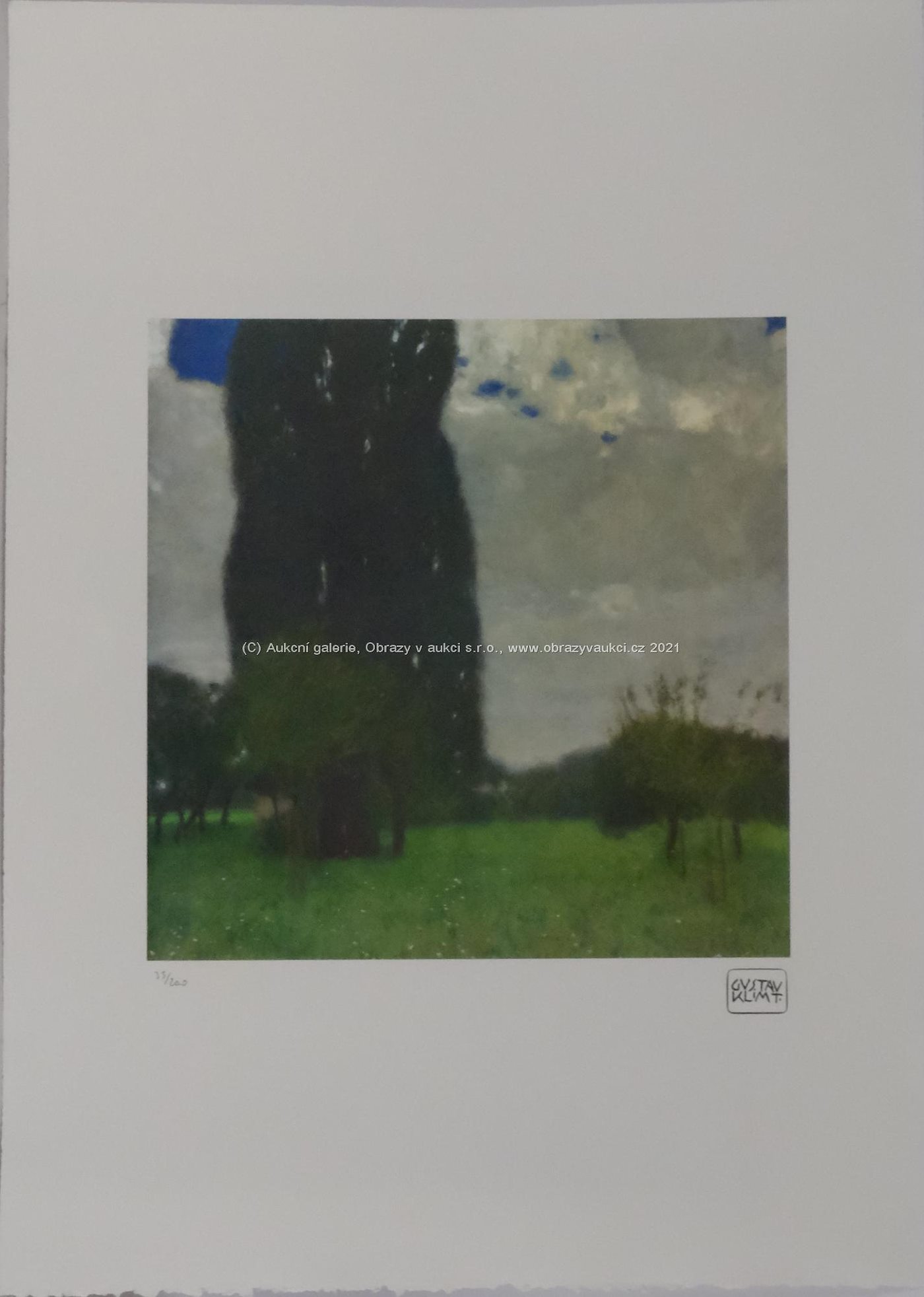 Gustav Klimt - Louka se stromy