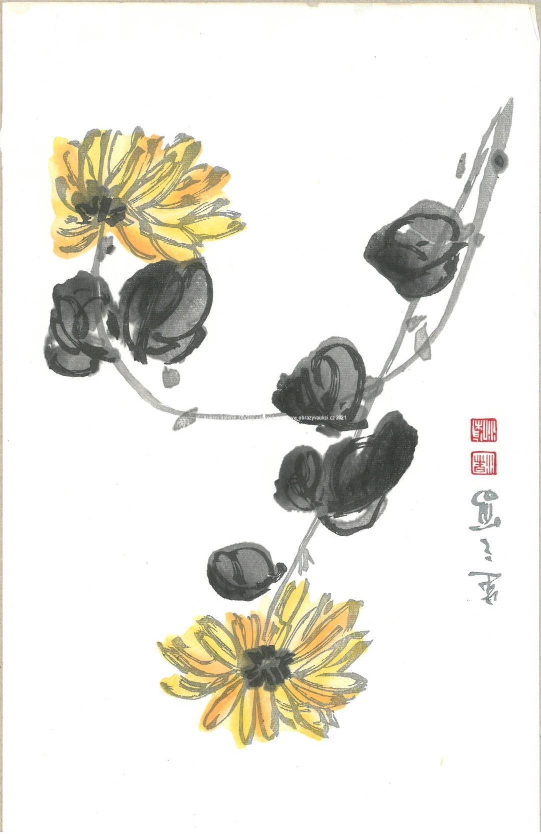 Bai-shi Qi (Čchi Paj-š´) - Čínská arnika