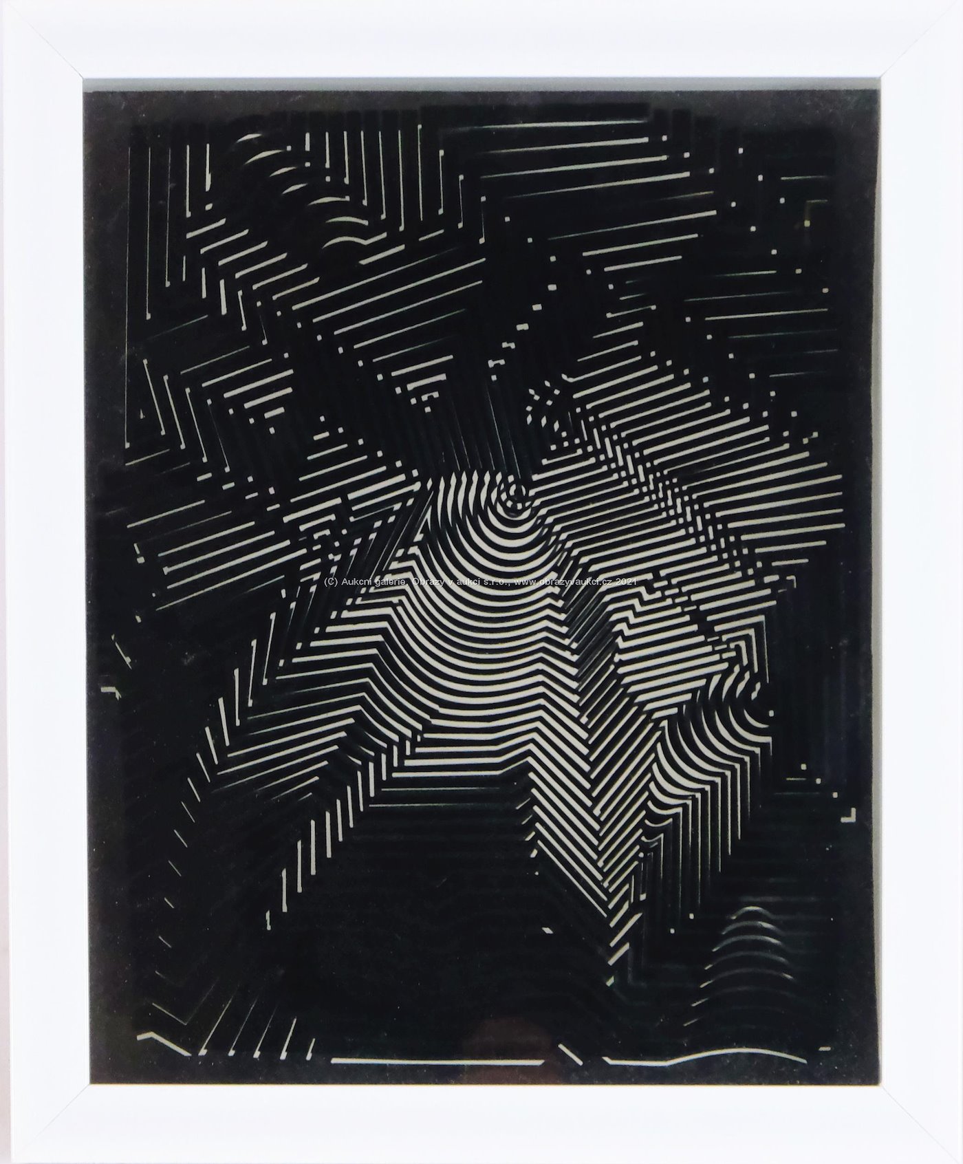 Victor Vasarely - Cinetiques