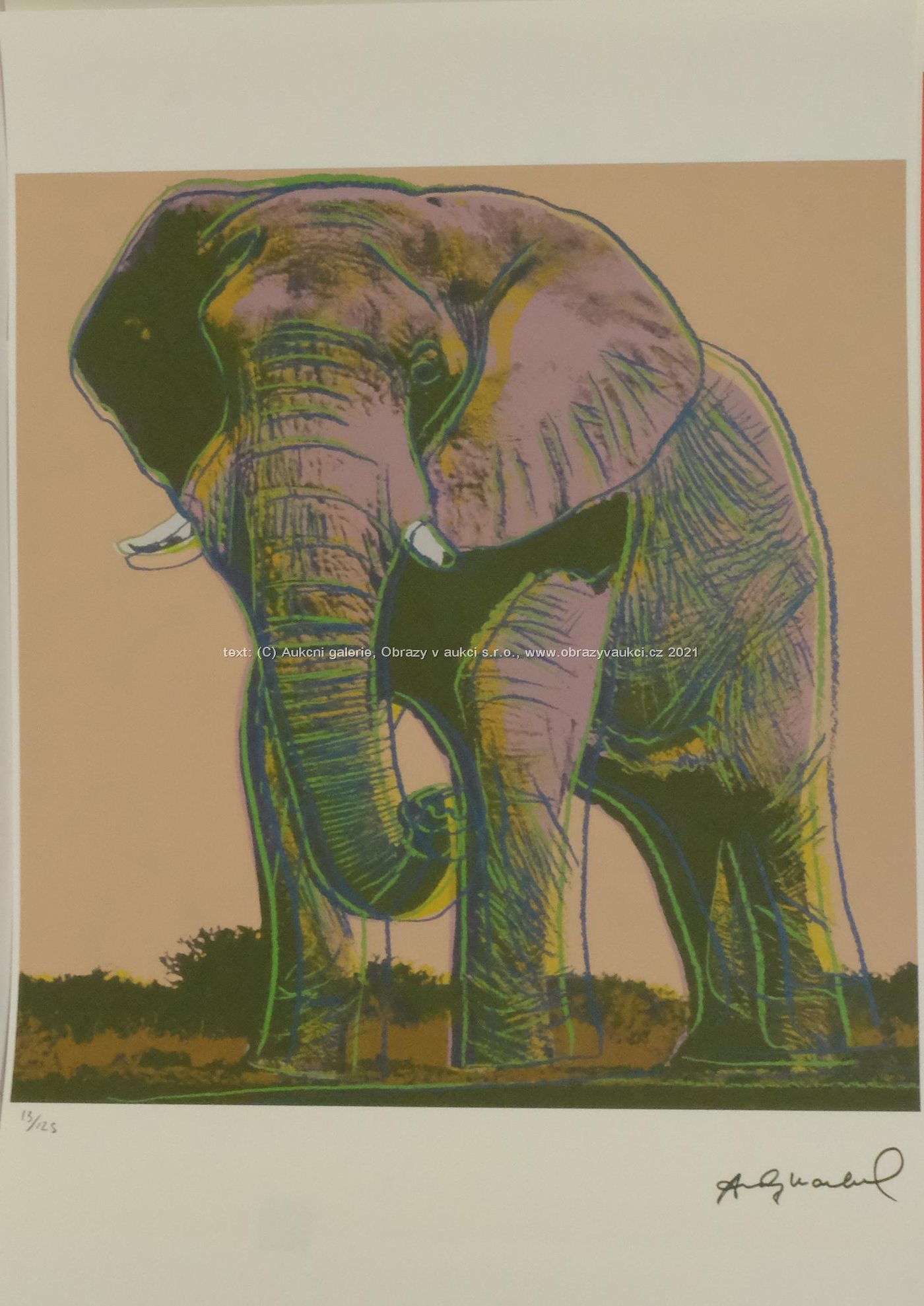 Andy Warhol - African Elephant