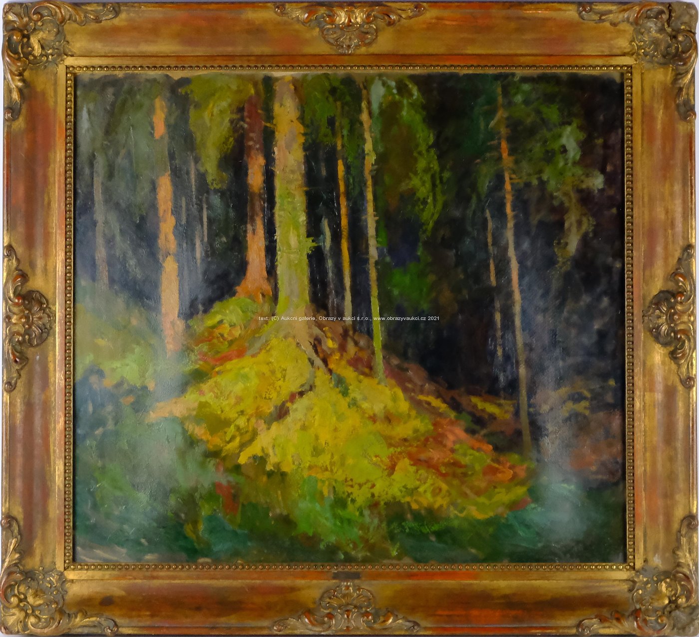 Gustav Macoun - Hluboký les