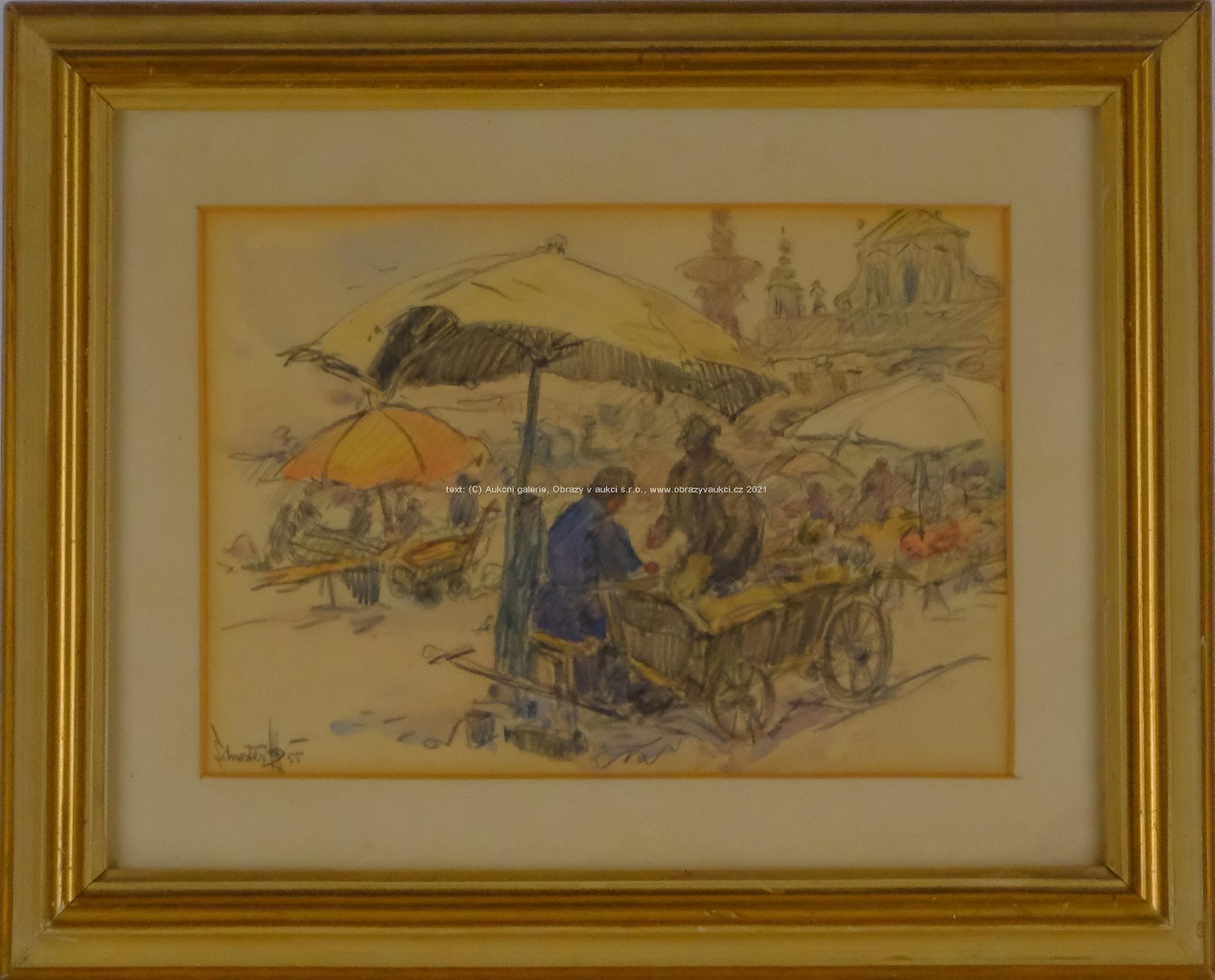 Jan Rafael Schuster - Zelinářské deštníky na trhu v Českých Budějovicích