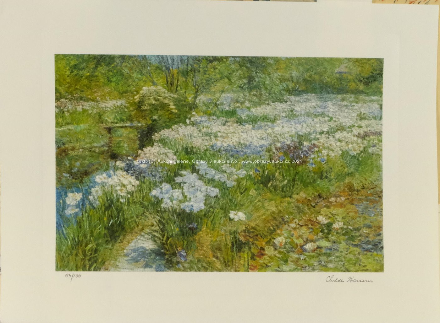 Childe Hassam - The Water Garden