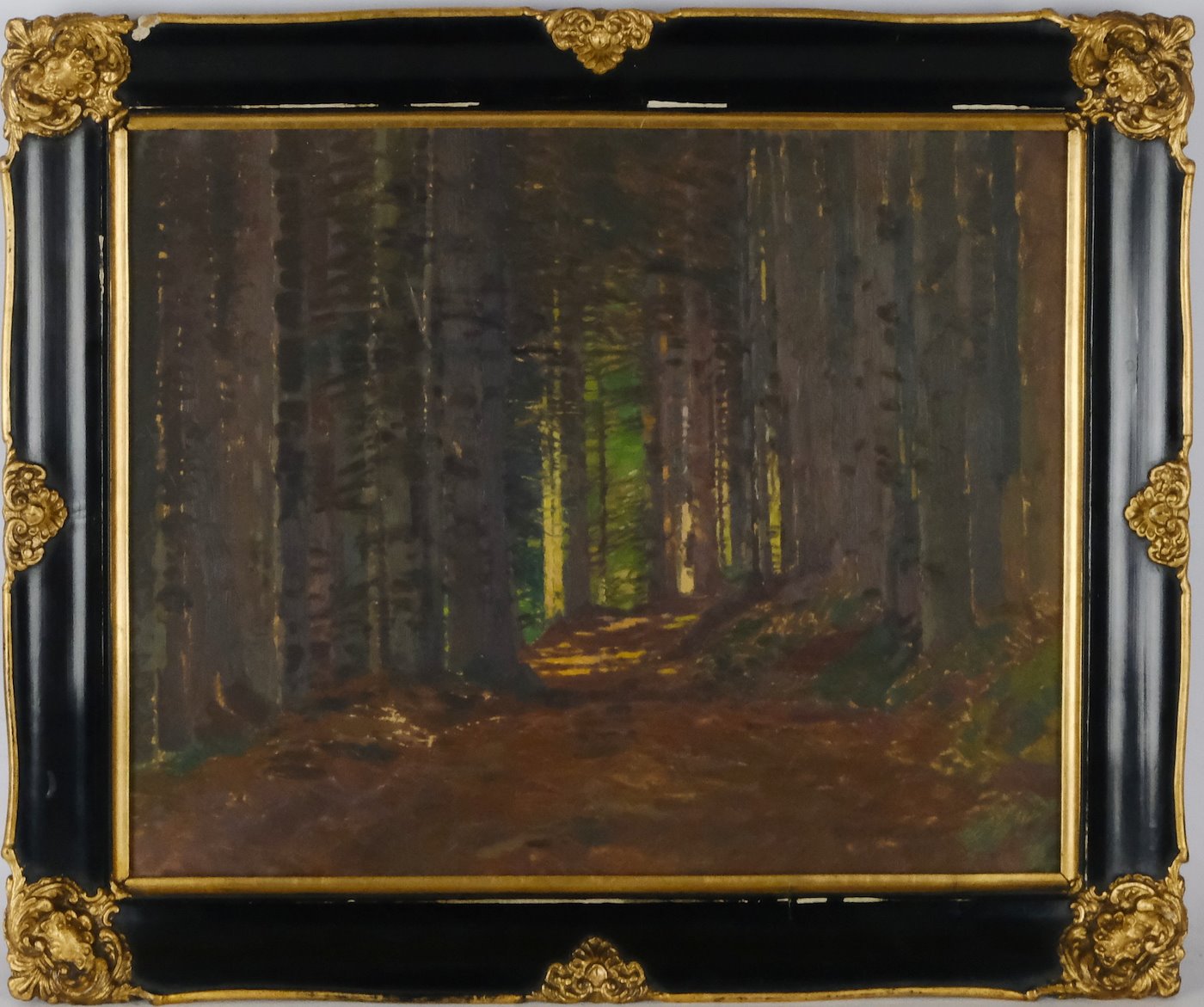 Roman Havelka - Lesní cesta