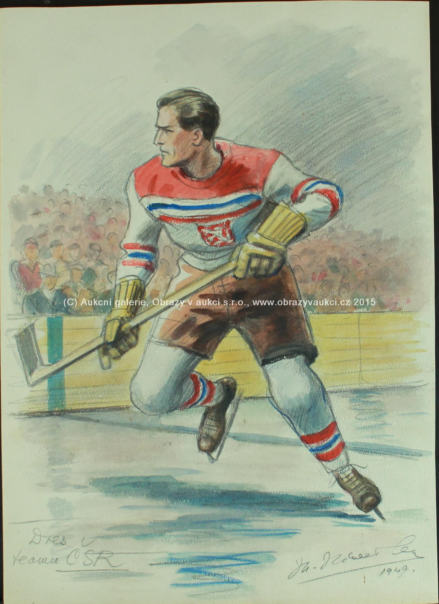 Marcel Niederle - Hokej, fotbal, běh, lyžování aj. - 54 listů
