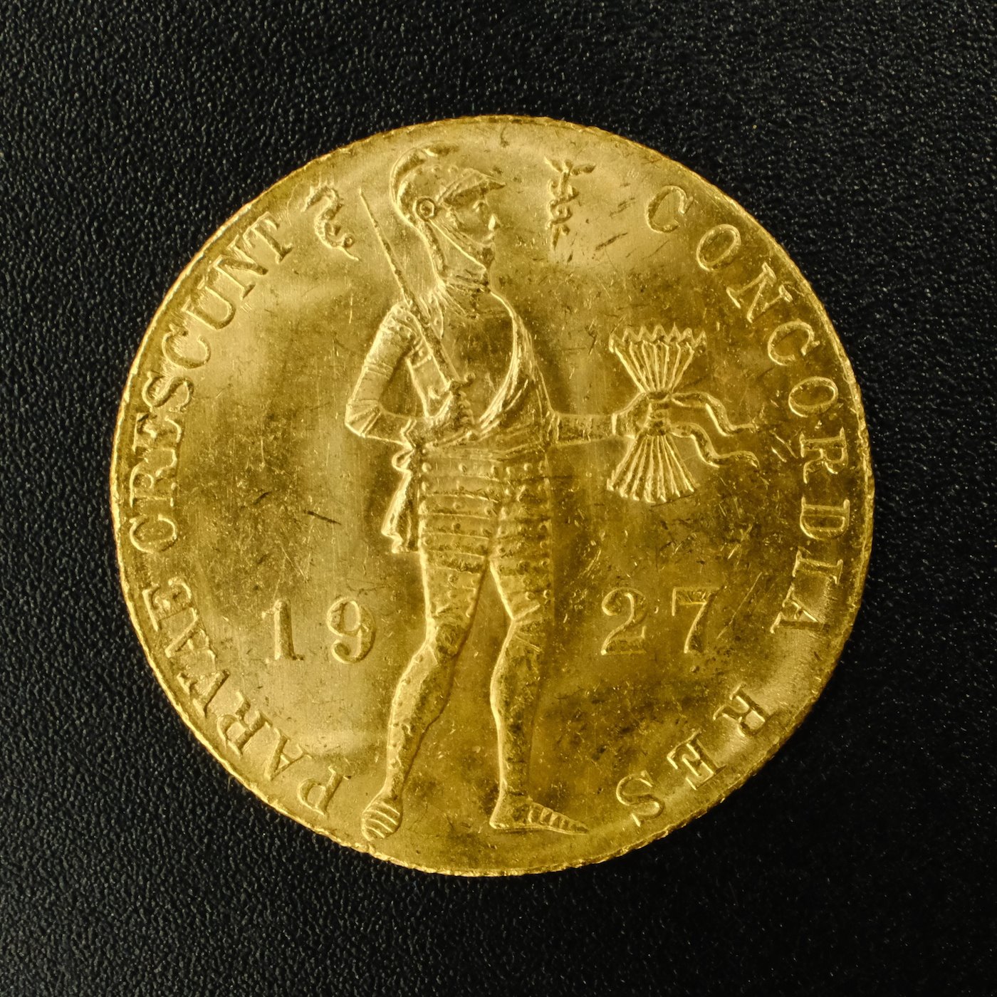 Mince - Nizozemsko zlatý obchodní dukát 1927 Wilhelmina, zlato 983/1000, hrubá hmotnost 3,494g