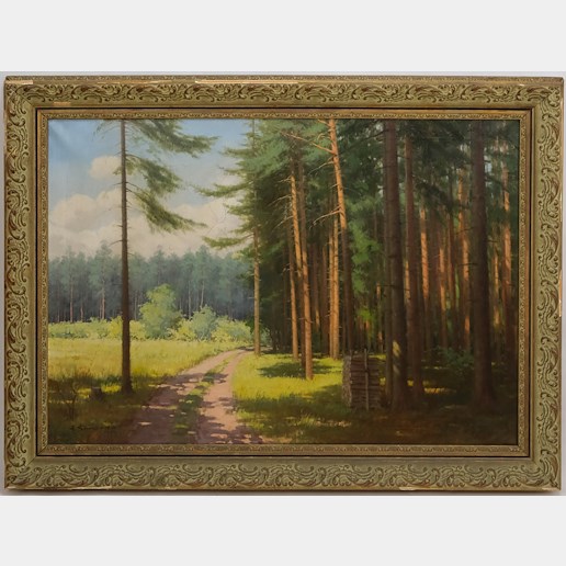 Alois Šimorda - Prosluněná lesní cesta