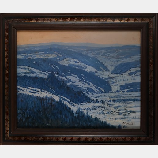 Antonín Augusta - Zimní panorama