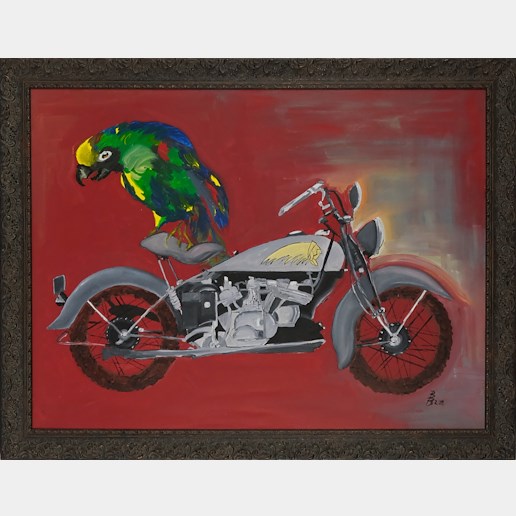 Barbara Barešová - Papoušek na motorce