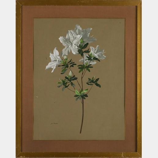 Amálie Mánesová - Bílá květina