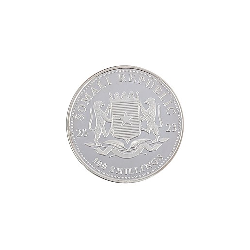 .. - Stříbrná mince 1oz Somálsko 2023, SLON Africká divočina