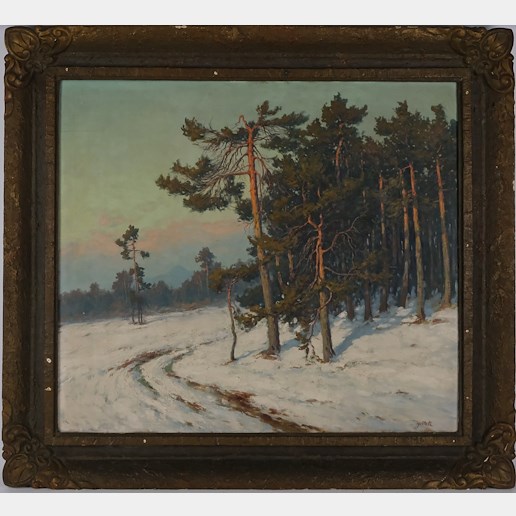 Karel Havlata - Les v zimě