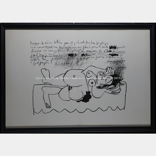 Pablo Picasso - Nu couché