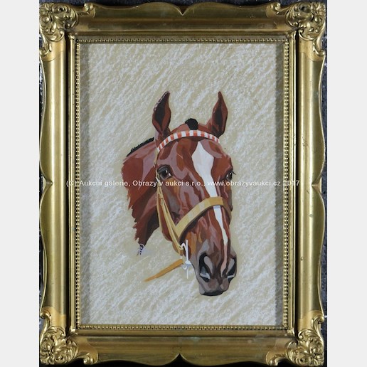 Jan Pistorius - Hlava koně