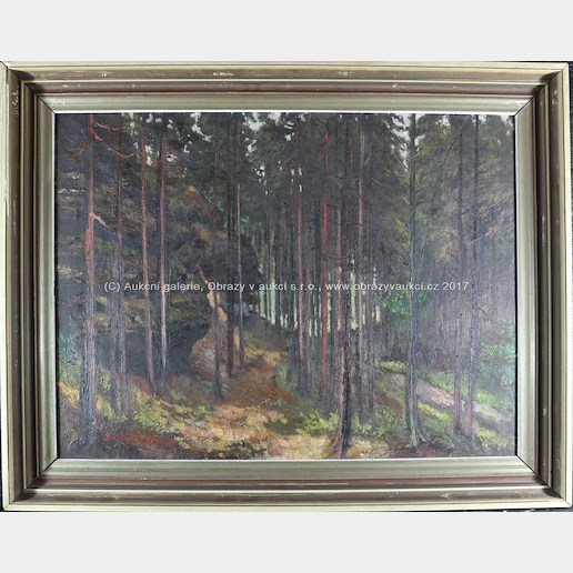 Bedřich Knopp - Skála v lese