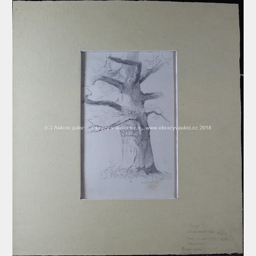Julius Mařák - Starý strom