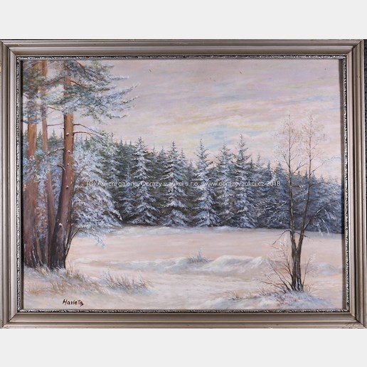Karel Havlata - Zimní les