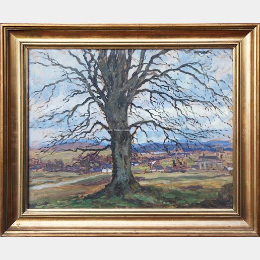 Gustav Macoun - Strom v krajině