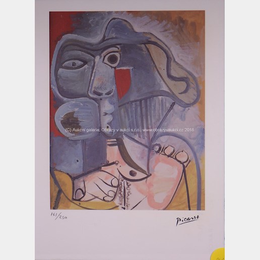 Pablo Picasso - Sedící akt