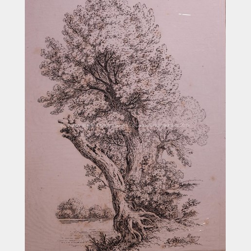Antonín Mánes - Studie stromů