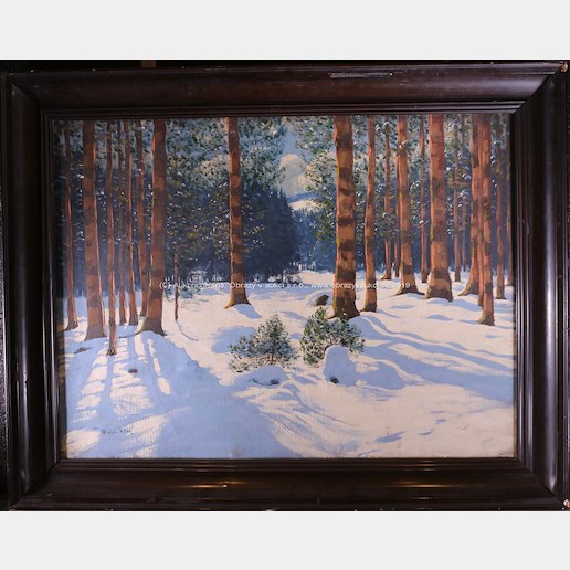 Victor Olgyai - Zimní les