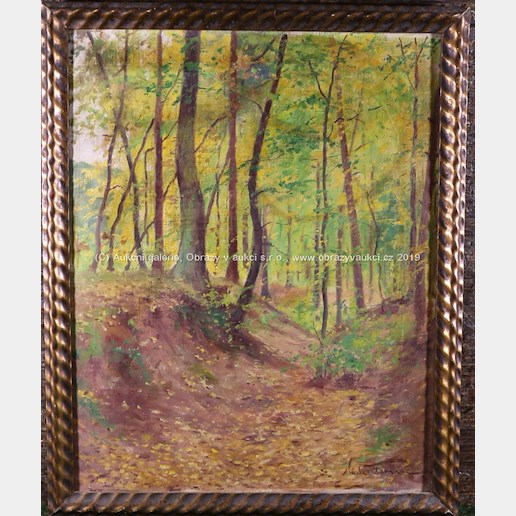 Václav Toman - Podzimní les