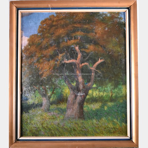 František Toman - Vzrostlé stromy