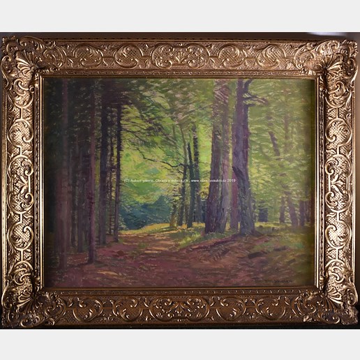 Roman Havelka - Prosluněný les