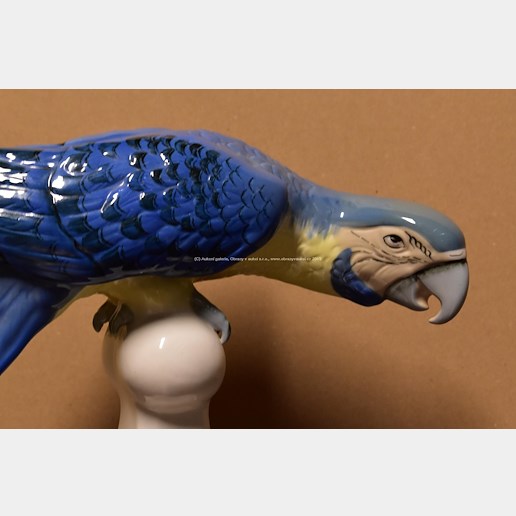 Royal Dux - Papoušek
