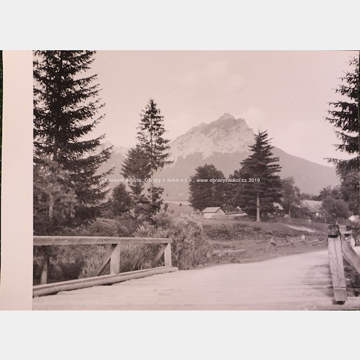 Josef Sudek - Dřevěný můstek v dolině, Pohled do údolí